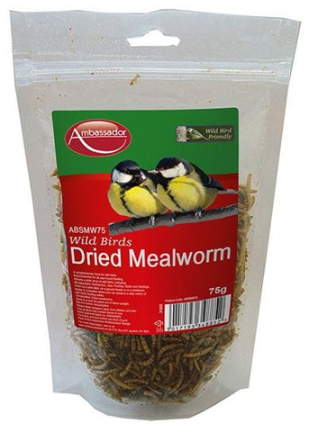 Ambassador Mealworms - 75g - Flying Dutchman Stores