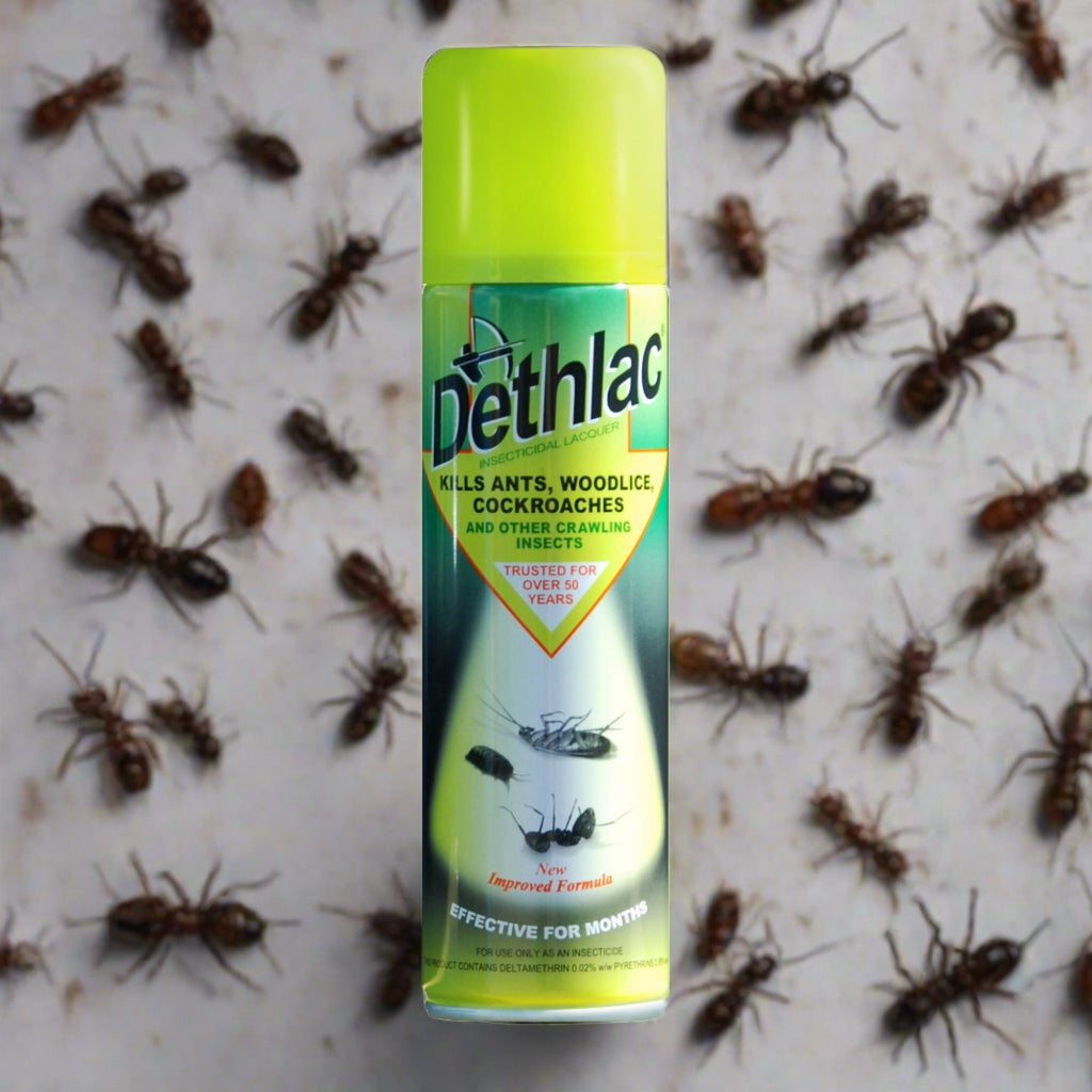 Dethlac Insect Spray - Flying Dutchman Stores